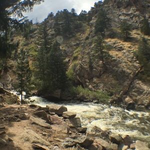 Meet your Posher, Willie